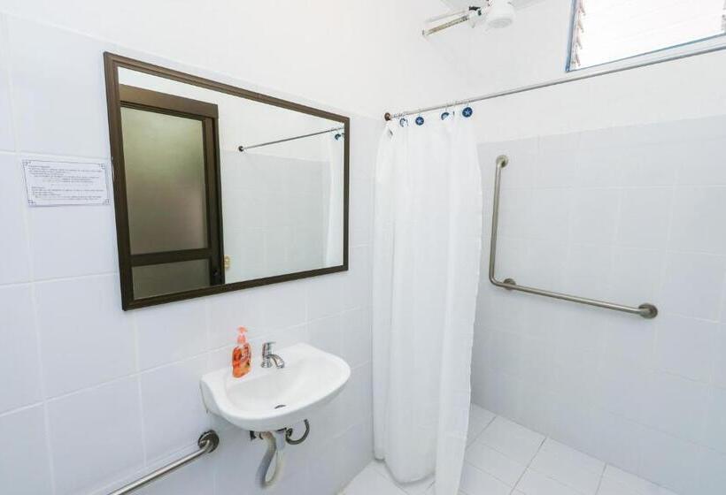 スタンダードルーム, Flor Blanca