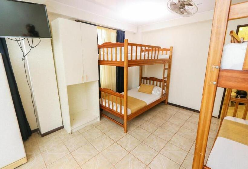 ファミリールーム, Flor Blanca