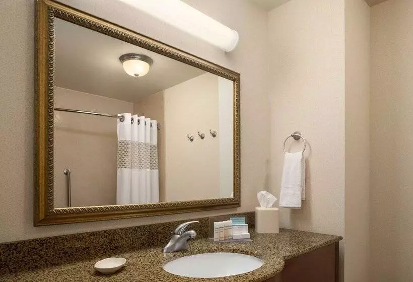 キングサイドベッドのスタンダードワンルーム, Hampton Inn Belle Vernon