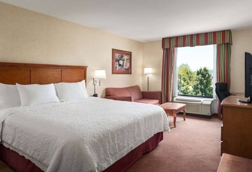 إستوديو قياسى سرير كينج, Hampton Inn Belle Vernon