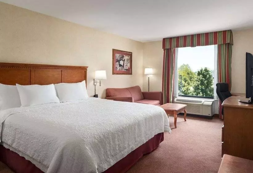 キングサイドベッドのスタンダードワンルーム, Hampton Inn Belle Vernon