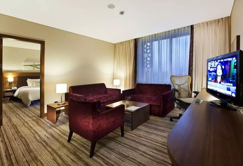 اتاق استاندارد با تخت دوبل, Hilton Garden Inn Konya, Turkey