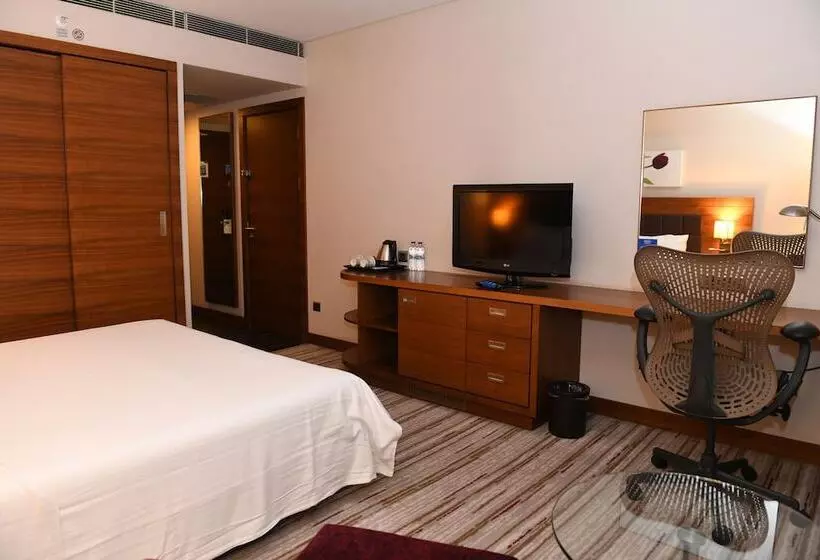 اتاق استاندارد با تخت دوبل, Hilton Garden Inn Konya, Turkey