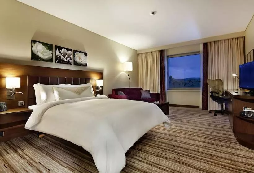 سوییت, Hilton Garden Inn Konya, Turkey