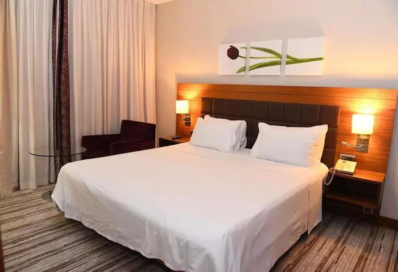 سوییت, Hilton Garden Inn Konya, Turkey
