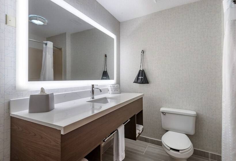 Номер Стандарт, Holiday Inn Express Charlotte West   Gastonia, An Ihg