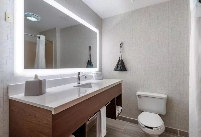 キングサイズベッドのスタンダードルーム, Holiday Inn Express Charlotte West   Gastonia, An Ihg
