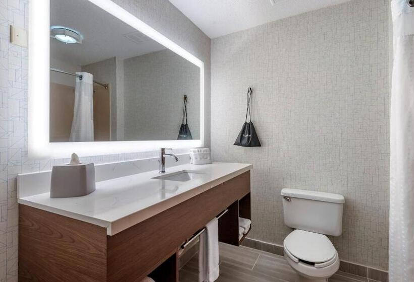 Номер Стандарт, Holiday Inn Express Charlotte West   Gastonia, An Ihg