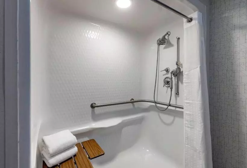 身障者適用キングサイズベッドルーム, Holiday Inn Express Charlotte West   Gastonia, An Ihg