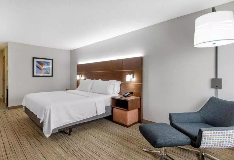 身障者適用キングサイズベッドルーム, Holiday Inn Express Charlotte West   Gastonia, An Ihg
