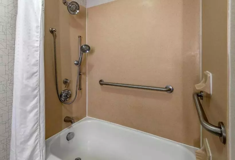 身障者適用キングサイズベッドルーム, Holiday Inn Express Charlotte West   Gastonia, An Ihg