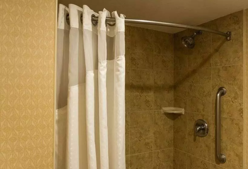اتاق استاندارد, Holiday Inn Express Saltillo Zona Aeropuerto, An Ihg