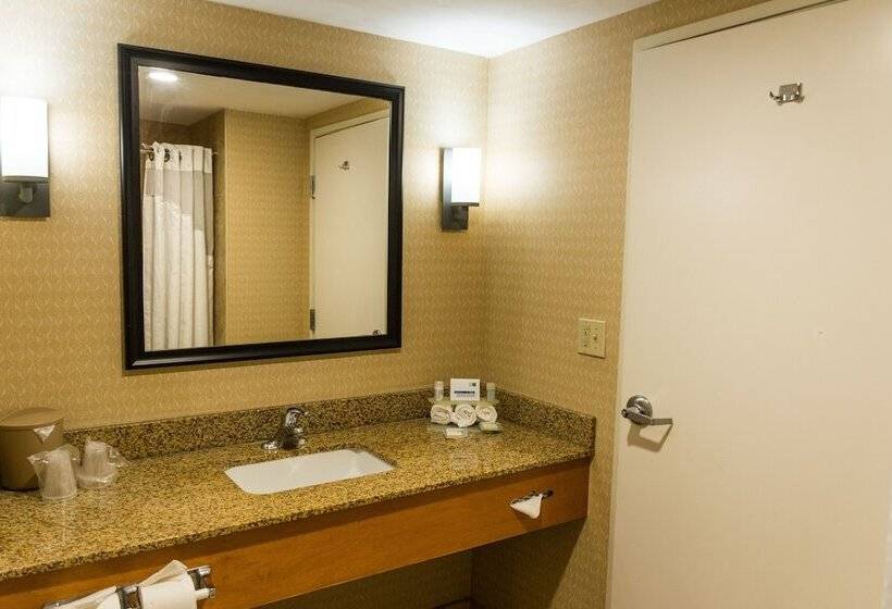 غرفة قياسية, Holiday Inn Express Saltillo Zona Aeropuerto, An Ihg