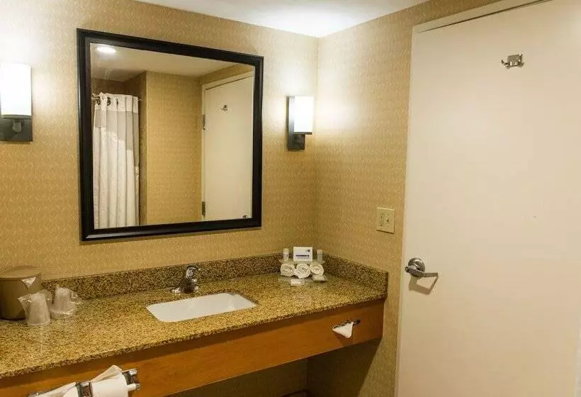 اتاق استاندارد, Holiday Inn Express Saltillo Zona Aeropuerto, An Ihg