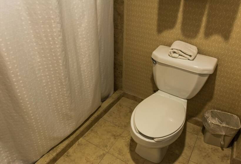 غرفة قياسية, Holiday Inn Express Saltillo Zona Aeropuerto, An Ihg