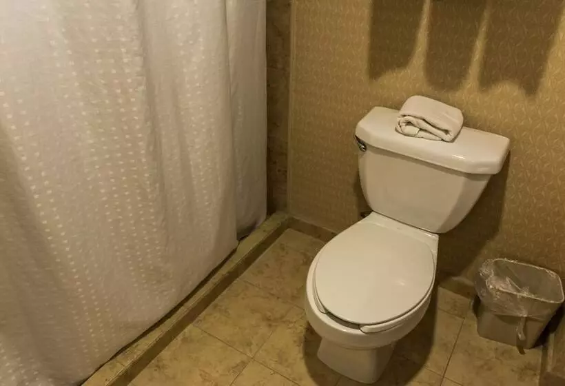 اتاق استاندارد, Holiday Inn Express Saltillo Zona Aeropuerto, An Ihg