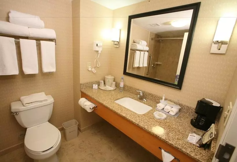 اتاق استاندارد, Holiday Inn Express Saltillo Zona Aeropuerto, An Ihg