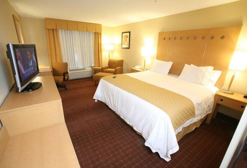 غرفة قياسية, Holiday Inn Express Saltillo Zona Aeropuerto, An Ihg