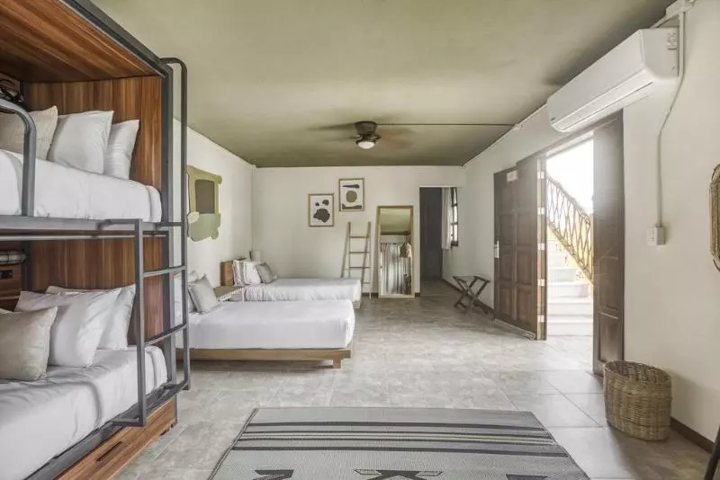 اتاق اجرایی با تخت بزرگ, Holiday Inn Express Saltillo Zona Aeropuerto, An Ihg
