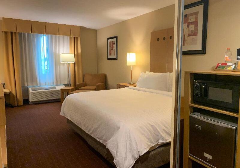 غرفة قياسية سرير كينج, Holiday Inn Express Saltillo Zona Aeropuerto, An Ihg