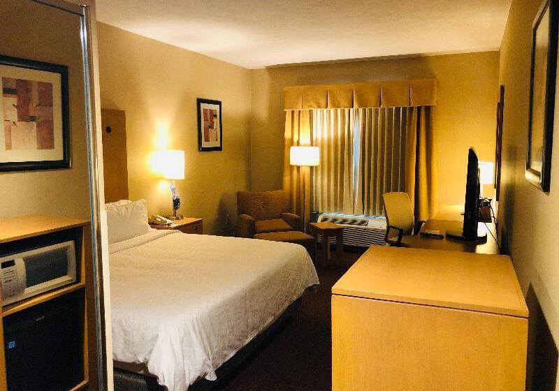 غرفة قياسية سرير كينج, Holiday Inn Express Saltillo Zona Aeropuerto, An Ihg