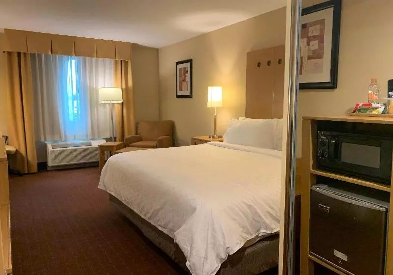 اتاق استاندارد با تخت بزرگ, Holiday Inn Express Saltillo Zona Aeropuerto, An Ihg