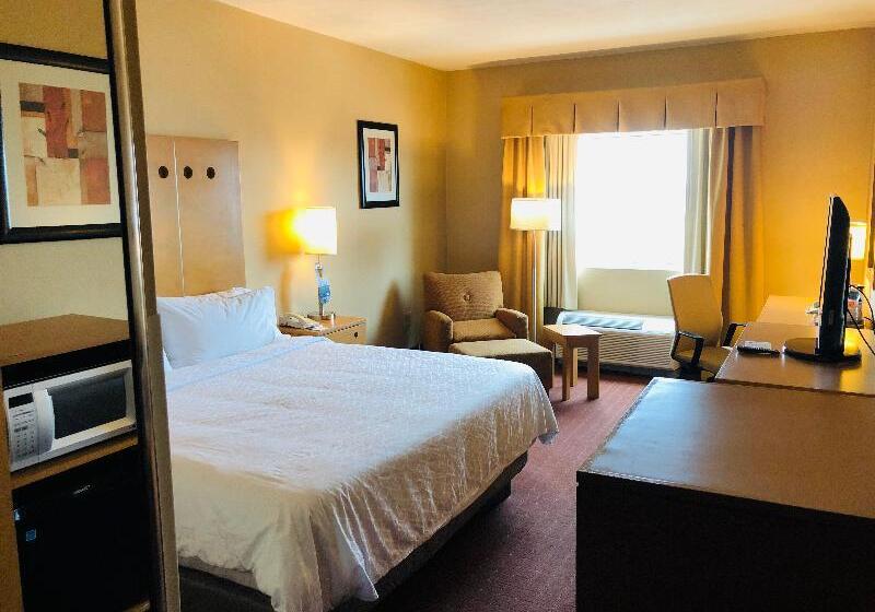 غرفة قياسية سرير كينج, Holiday Inn Express Saltillo Zona Aeropuerto, An Ihg