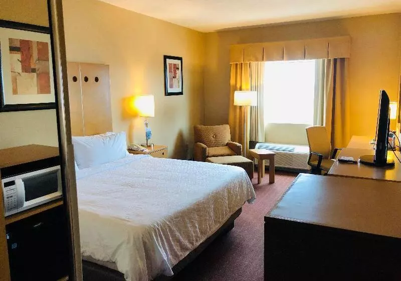 اتاق استاندارد با تخت بزرگ, Holiday Inn Express Saltillo Zona Aeropuerto, An Ihg