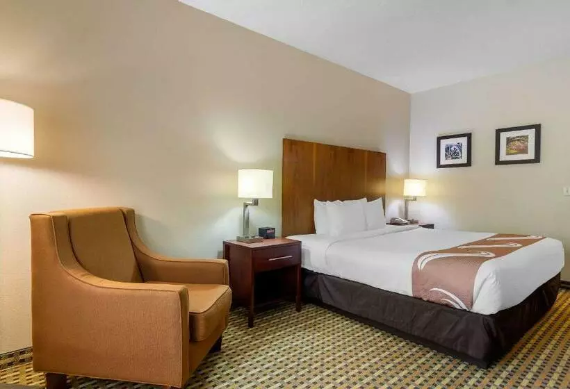 キングサイズベッドのスタンダードルーム, Quality Inn & Suites Decatur  Atlanta East