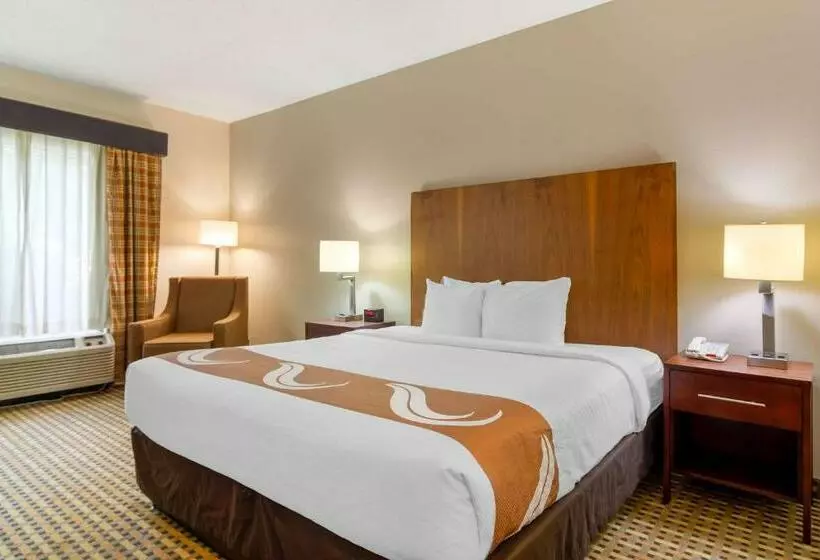 キングサイズベッドのスタンダードルーム, Quality Inn & Suites Decatur  Atlanta East