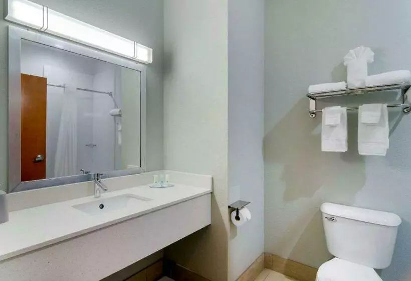 キングサイズベッドのスタンダードルーム, Quality Inn & Suites Decatur  Atlanta East