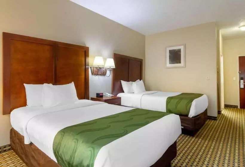 ２ダブルベッドのスタンダードルーム, Quality Inn & Suites Decatur  Atlanta East