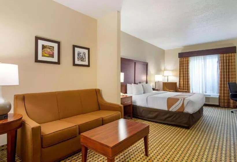 キングサイズベッドのスイートルーム, Quality Inn & Suites Decatur  Atlanta East