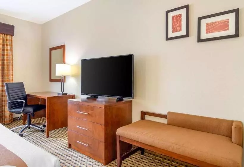 キングサイズベッドのスイートルーム, Quality Inn & Suites Decatur  Atlanta East