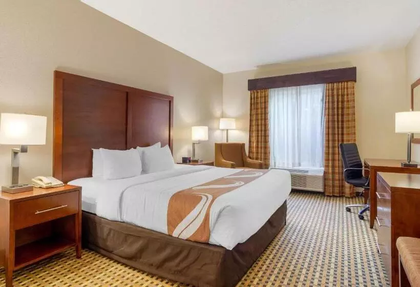 キングサイズベッドのスイートルーム, Quality Inn & Suites Decatur  Atlanta East