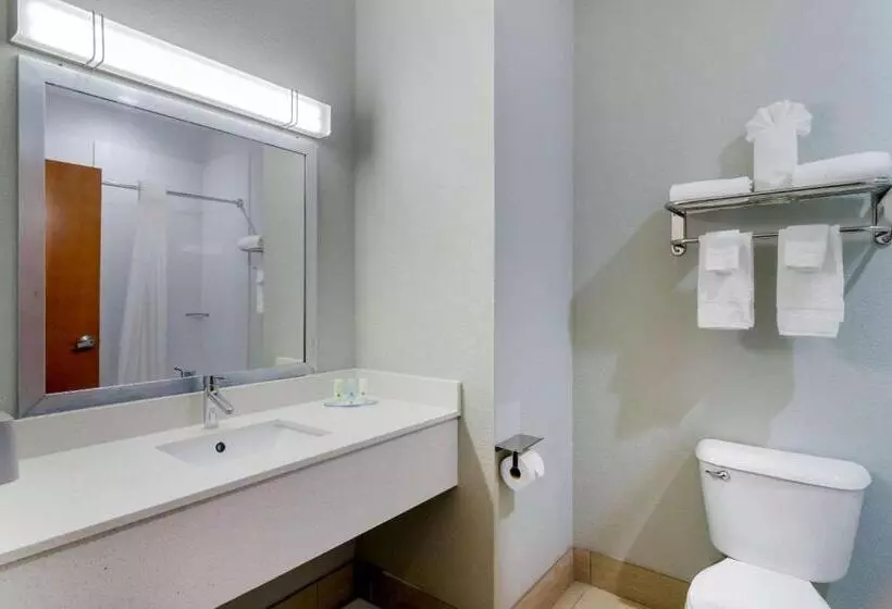 キングサイズベッドのスイートルーム, Quality Inn & Suites Decatur  Atlanta East