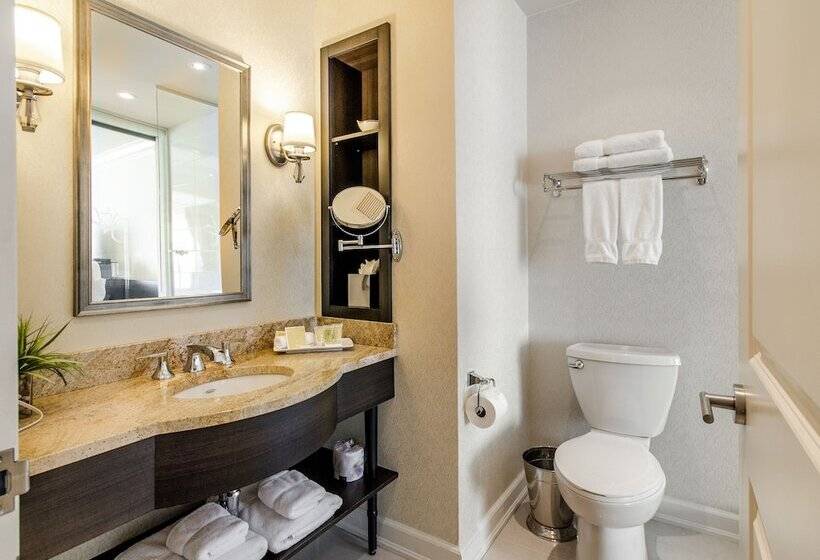 디럭스 룸, Le St Martin Hotel Centre Ville – Hotel Particulier