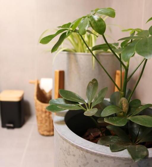 スタンダードルーム, Villa D’aurora Country Suites