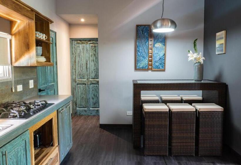 شقة غرفة واحدة, Faremiti Uvita