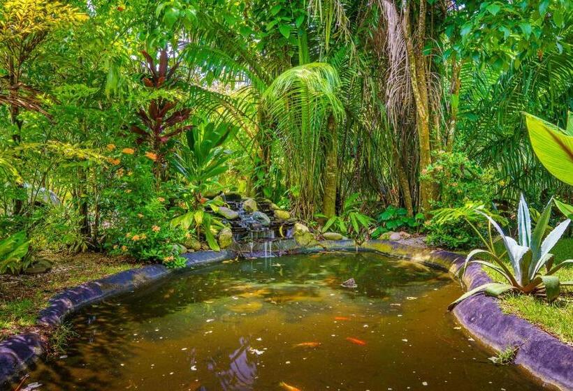 شقة سوبريور غرفة واحدة, Faremiti Uvita