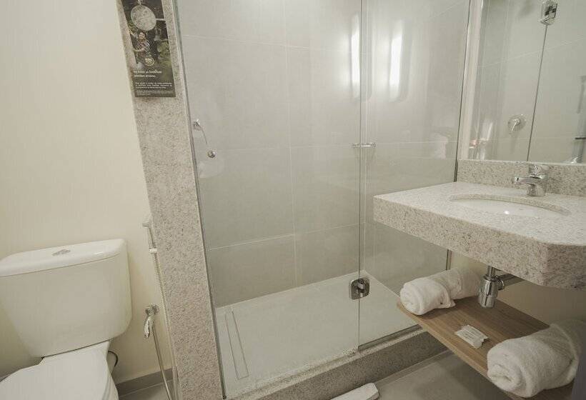 带1个卧室的公寓, Ibis Budget Farroupilha