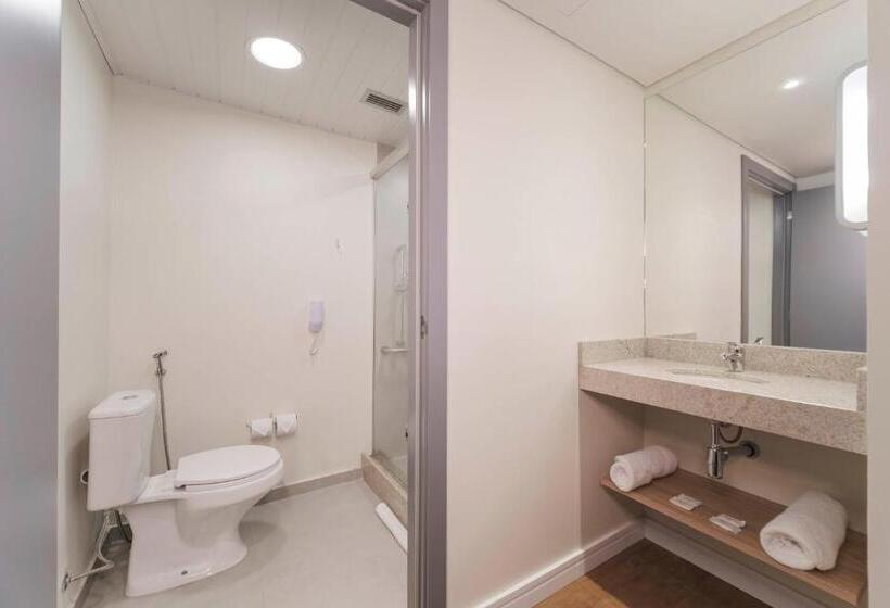 家庭公寓, Ibis Budget Farroupilha