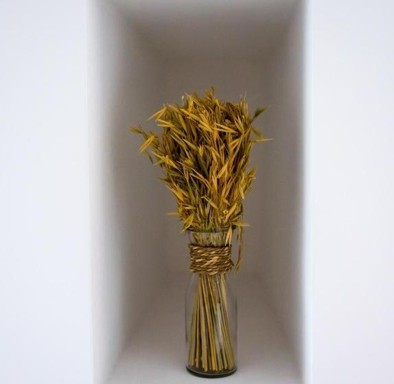 סוויטה משפחתית, Villa Aurelia Suites And Apartments