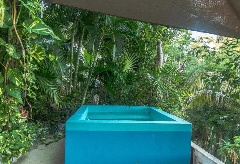 סוויטה נוף לים, Posada Arigalan