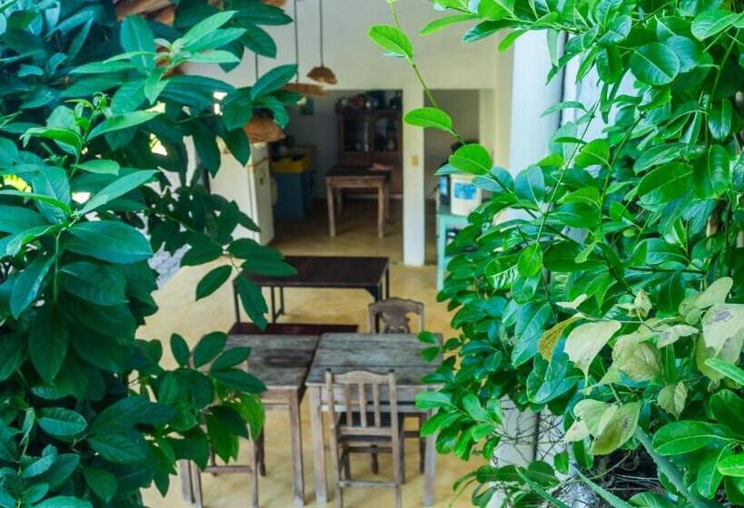 חדר דלוקס נוף לים, Posada Arigalan