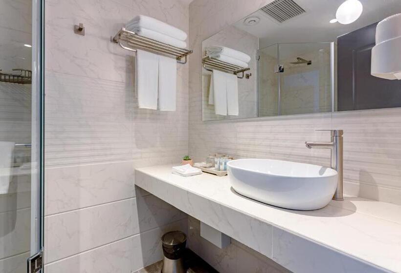 اتاق استاندارد با تخت بزرگ, Ramada By Wyndham Tbilisi Old City