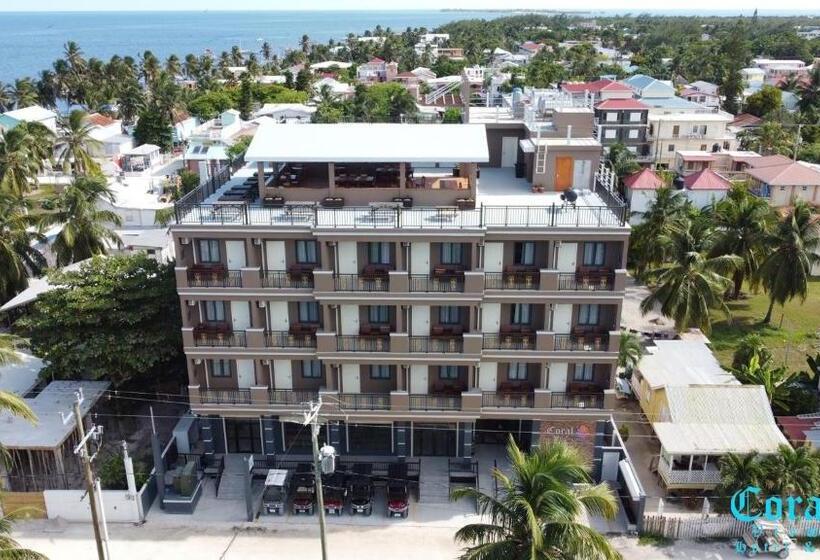 Полулюкс Вид на Море, Coral View Hotel & Resort