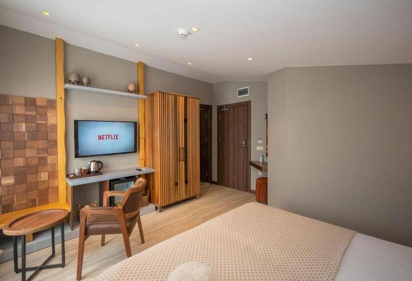 Номер Стандарт Вид на Море, Villa Siesta Hotel Istanbul Airport