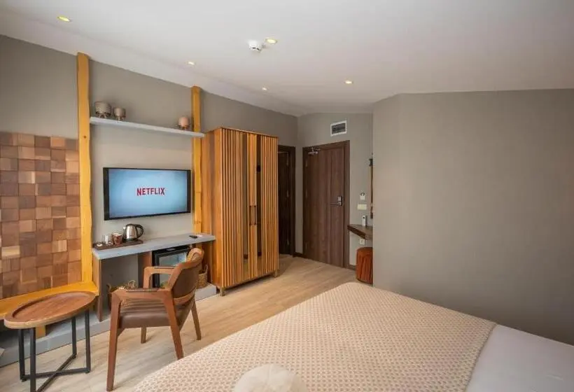 オーシャンビュースタンダードルーム, Villa Siesta Hotel Istanbul Airport