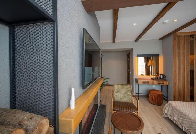 اتاق استاندارد با چشم‌انداز دریا, Villa Siesta Hotel Istanbul Airport